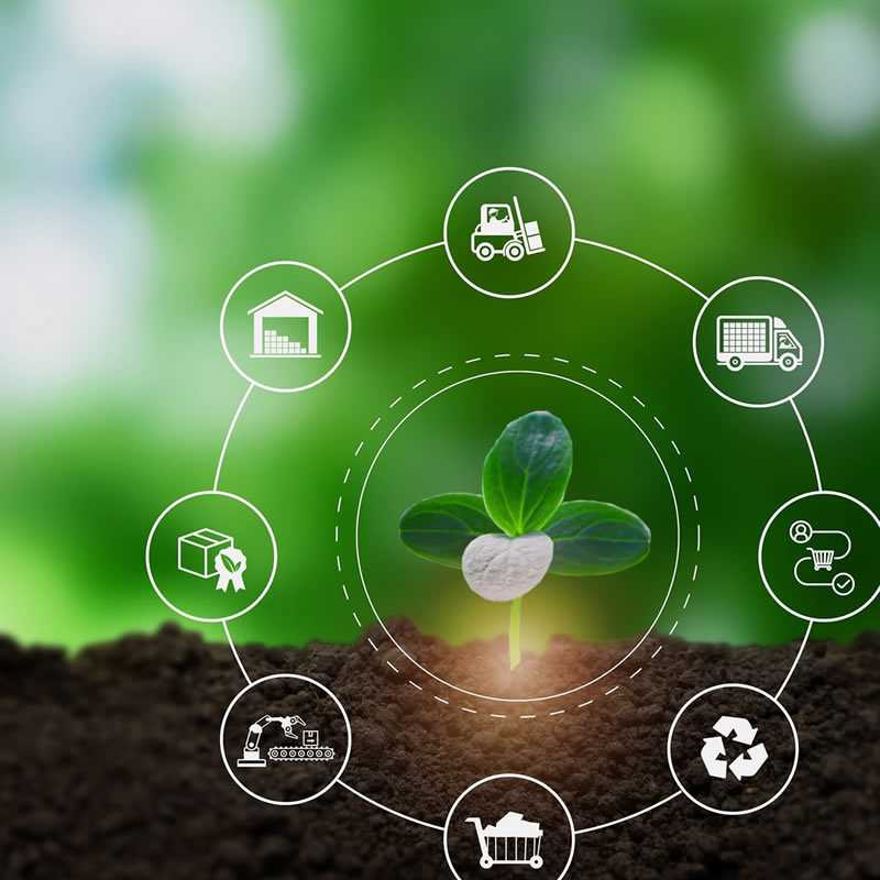 IMPACT25 | Advancing Sustainable Supply Chain Initiatives