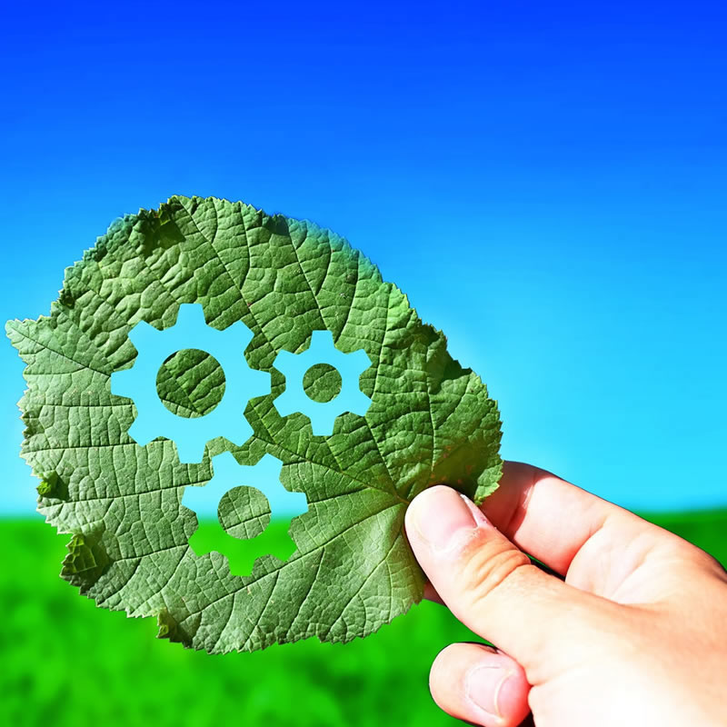 IMPACT25 | Advancing Industrial Efficiency and Waste Reduction