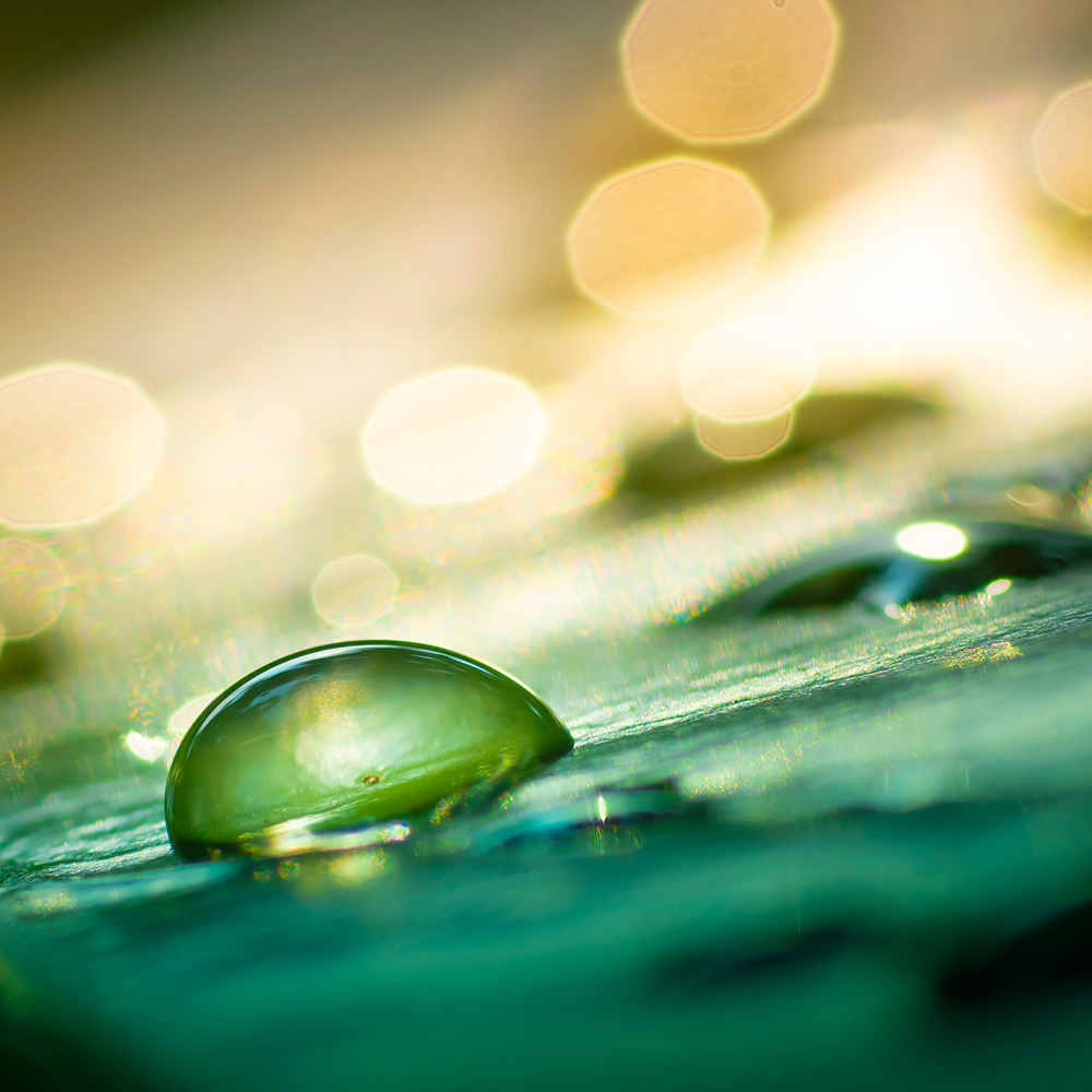 Virginia Beach Regional Event