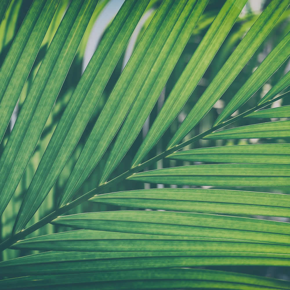 IMPACT26 | Virtual Sustainability Series