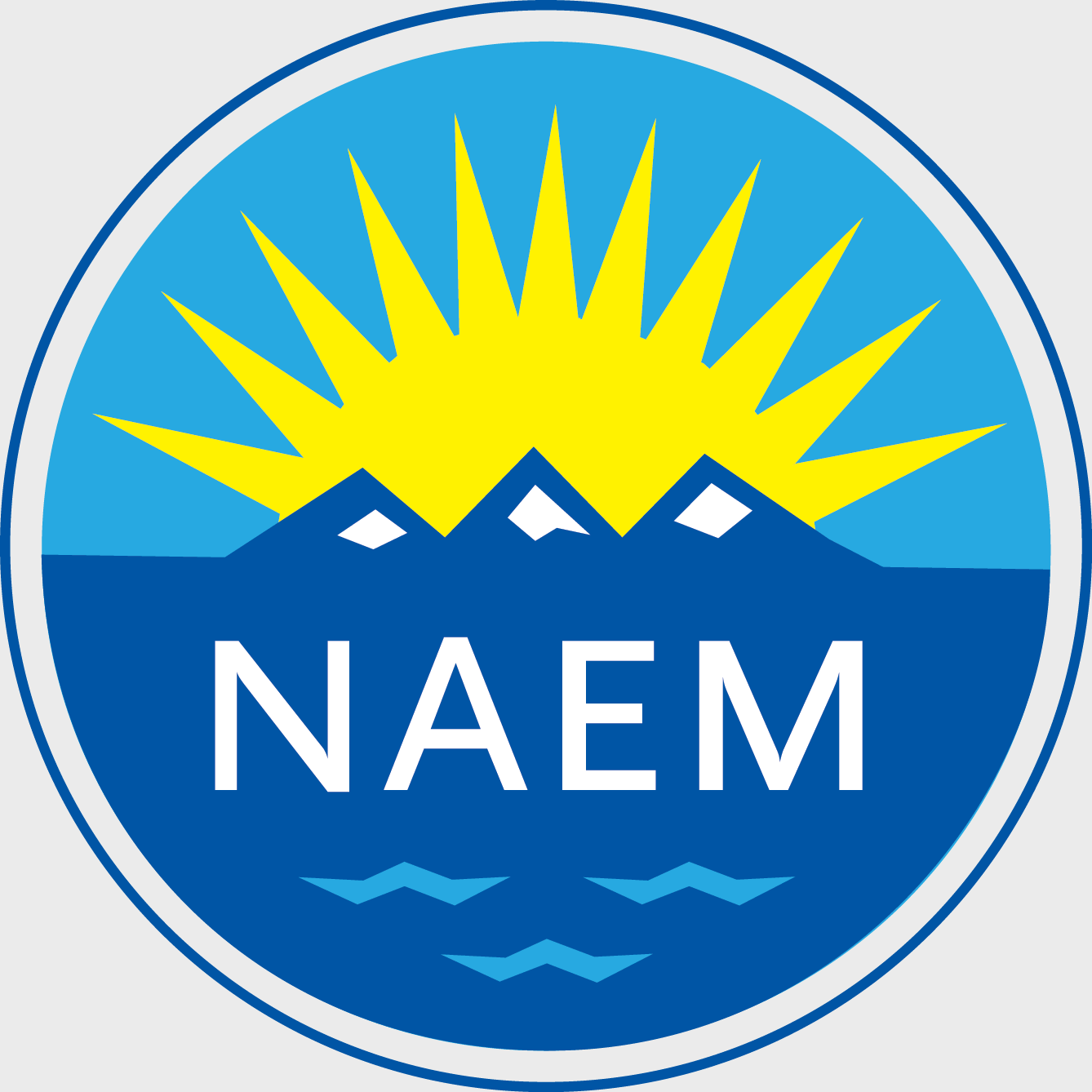 NAEM logo