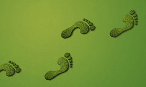 Maintaining EHS Compliance and Carbon Footprinting Initiatives