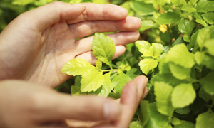 2013 Corporate Sustainability Management Conference