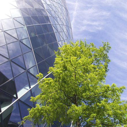 2013 Corporate Sustainability Management Conference