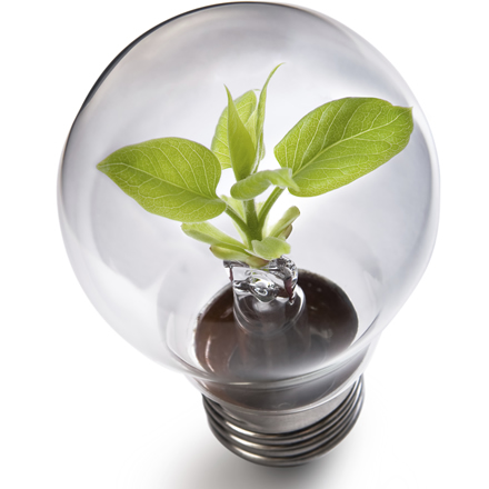Webinar - Capitalizing on Energy Savings Incentive Programs for Industry