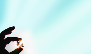 2013 EHS Management Forum