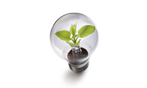 Capitalizing on Energy Savings Incentive Programs for Industry