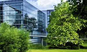 Essential Steps for Building a Sustainability Program and Benchmarking Best Practices