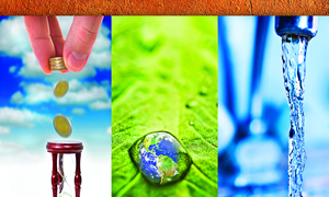 2009 EHS Management Forum: Pathways to Profitability: EHS Efficiency, Transparency, Innovation