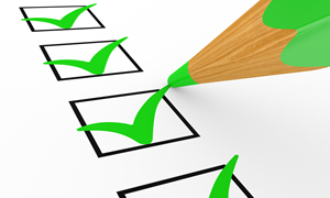 Consultant Sustainability and CSR Expectations