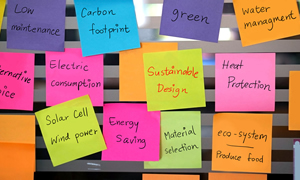 EHS Staffing Levels and Structure