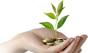 Strategies for Winning and Managing Grants