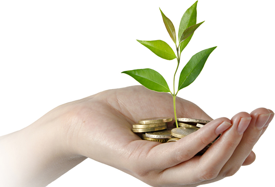 Strategies for Winning and Managing Grants