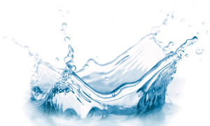 Developing a Water Management Strategy