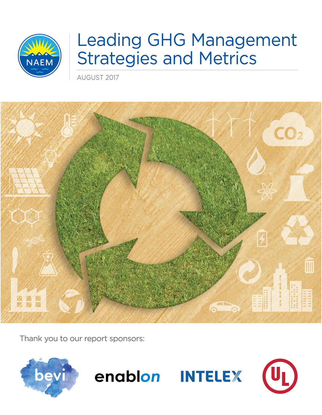 2017 Leading GHG Management Strategies and Metrics