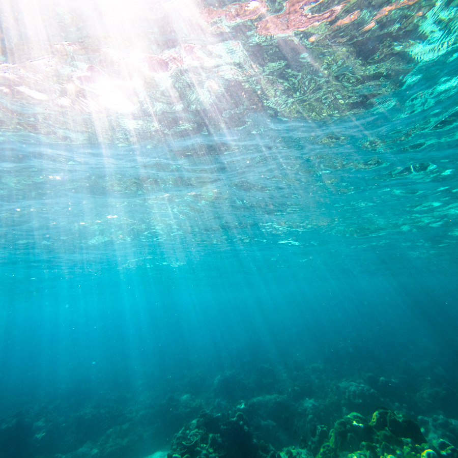 2017 EHS Forum - Deep Dives, Facilitated Discussions, and Exploratory Topics