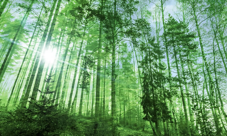 Northwest Ohio Southeast Michigan Fall Chapter Meeting