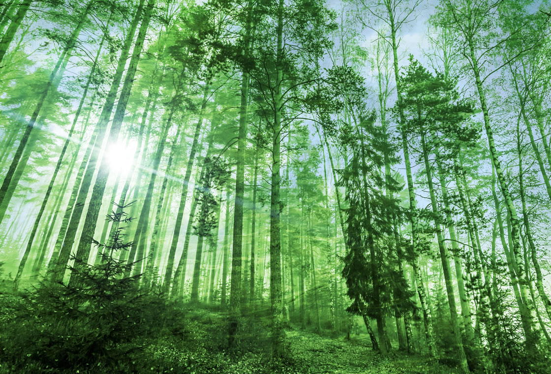 Northwest Ohio Southeast Michigan Fall Chapter Meeting