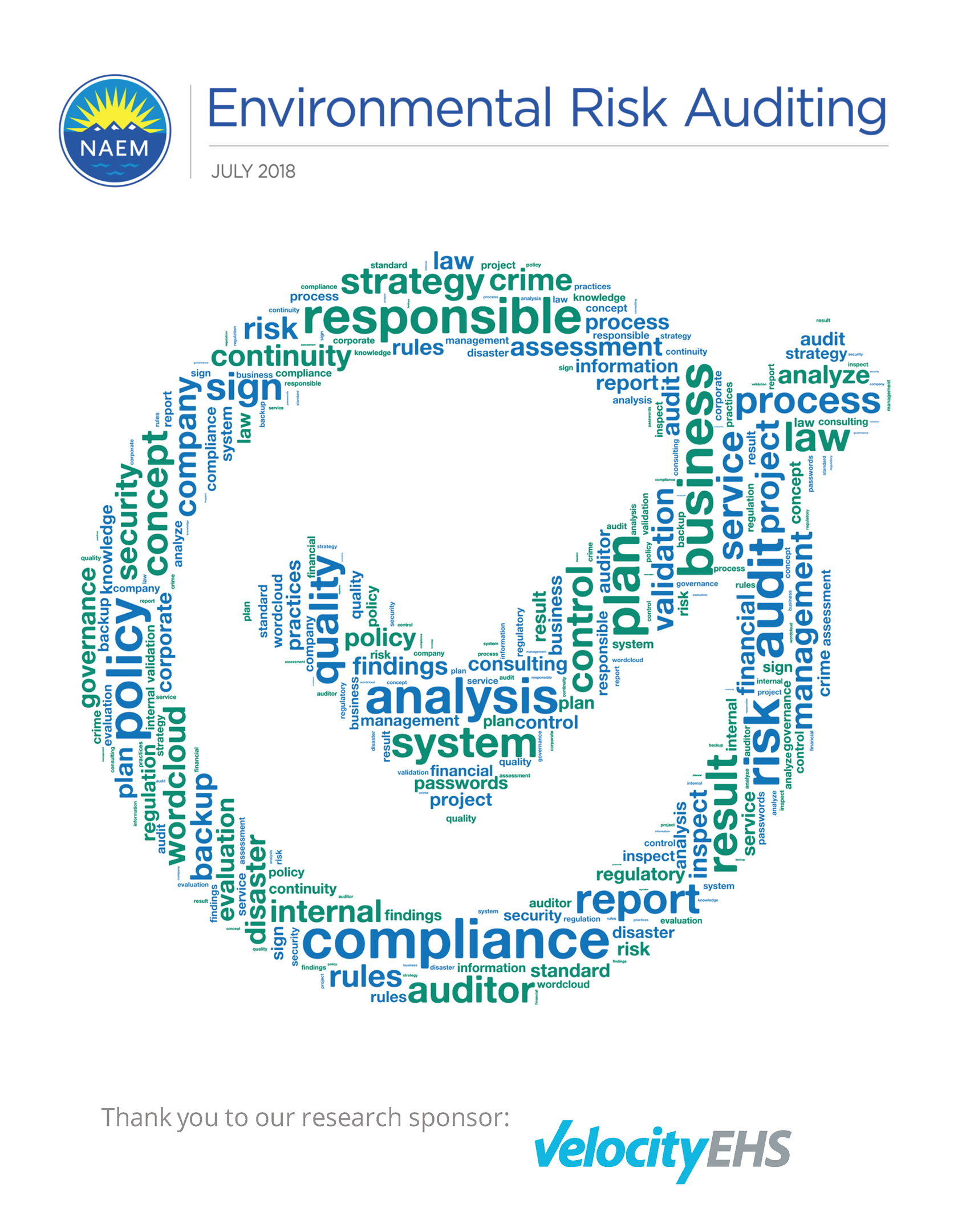 2018 Environmental Risk Auditing