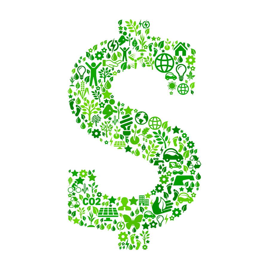 Climate Strategy: Latest Developments in TCFD and CDP