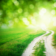 2015 Forum - Path to Positive