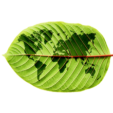 2014 EHS Forum - Sustainability Challenges and Drivers