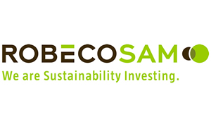 Create Business Value Through the Dow Jones Sustainability Index and Its Corporate Sustainability Assessment Process