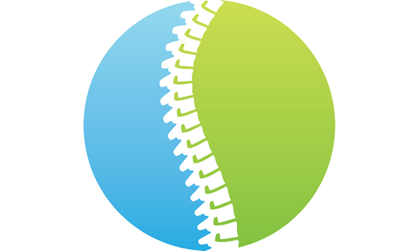 Enterprise-wide Ergonomics: Lessons Learned from a Global Implementation