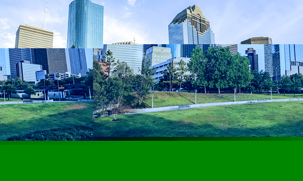 2017 EHS&S Software and Data Management Conference