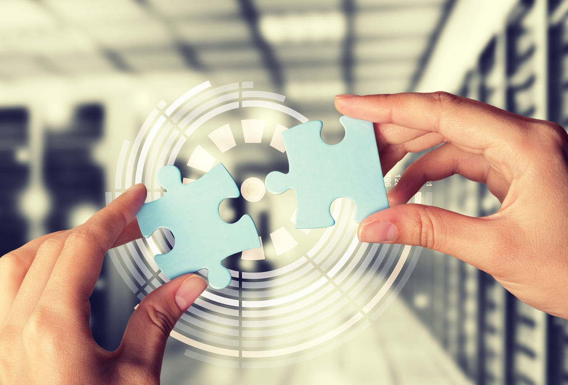 Approaches to EHS&S Data Management Case Study - Finding Common Ground within a Decentralized Company