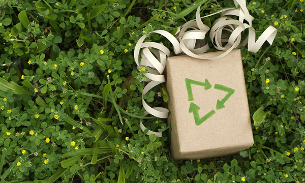 Product Sustainability Strategies