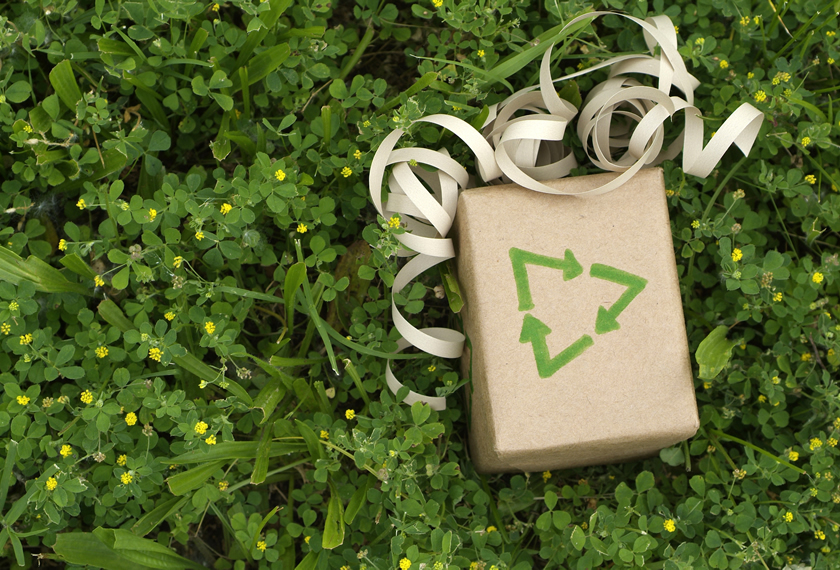 Product Sustainability Strategies