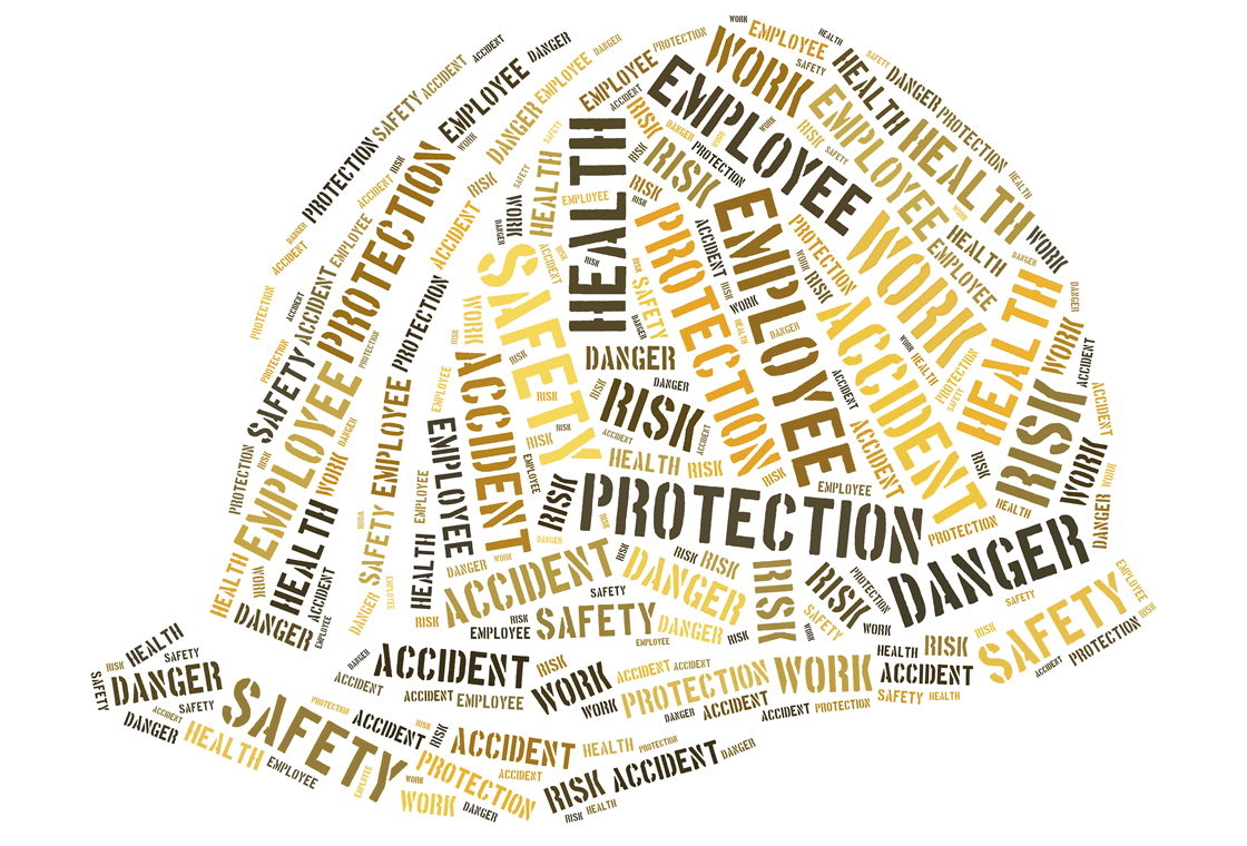 Risk Management Approaches to Safety Performance Improvements